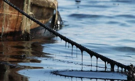 Bị dây neo quấn cổ, một ngư dân tử vong