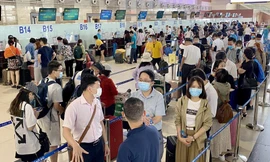Cục Hàng không 'tuýt còi' hãng bay thu tiền dịch vụ làm check-in nhanh của hành khách