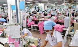 Đà Nẵng tự chẩn 'bệnh' PCI