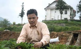 Khỏi bệnh hiếm muộn nhờ 4 thang thuốc quý