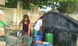 Dân khát, lúa chết