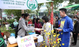 Làm lồng đèn, gói bánh tét, bán quà vặt giúp bạn mua vé xe về quê đón Tết