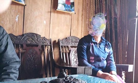 Một đầu mối giới thiệu, bán dạ dày nhím