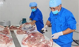 Chế biến thịt mát