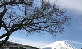 Phong cảnh tuyệt vời quanh ngọn núi Phú Sĩ. Ảnh: Lê Xuân Sơn