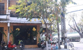 Nhà và đất số 73 Nguyễn Thái Học