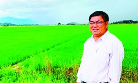 Ông Tuyên thăm đồng lúa mang thương hiệu của huyện Lắk