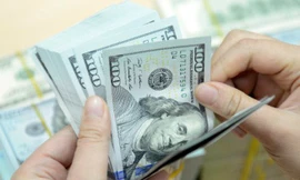 Tỷ giá 2019 dự kiến tăng khoảng 2% còn lãi suất VND sẽ tăng nhẹ 0,1-0,3%