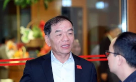 Đại biểu Quốc hội Lê Thanh Vân - Ảnh: THÀNH NAM