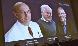 Ba nhà khoa học đoạt giải Nobel Y học 2020