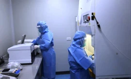 Hệ thống máy xét nghiệm SARS-CoV-2 tại CDC Bắc Ninh