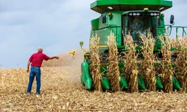 Một trong các đòi hỏi của Mỹ là Trung Quốc phải tăng nhập khẩu nông sản Mỹ ảnh: Axios 