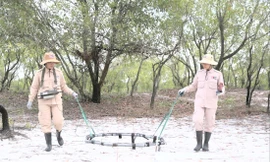 Việc thành lập MAT19 giúp nâng cao năng lực và vị thế phụ nữ trong hoạt động rà phá bom mìn nhân đạo