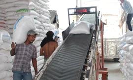 Đóng gói xuất khẩu gạo tại đồng bằng sông Cửu Long. Ảnh: Cảnh Kỳ