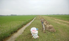 Cánh đồng thôn Xuân Dục (Tân Minh, Sóc Sơn, Hà Nội) được quy hoạch xây dựng trường đua ngựa hàng trăm triệu USD. Ảnh: Trường Phong