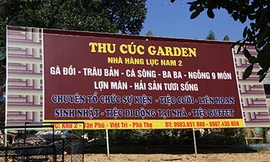 Liên hoan, tiệc cưới, sinh nhật... trong vùng 2 Khu di tích lịch sử Đền Hùng 