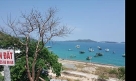 'Hạ Long phương Nam' đang bị... 'tùng xẻo'