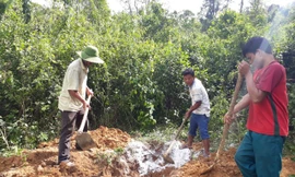 Xuất hiện bệnh lở mồm long móng trên đàn lợn ở Quảng Trị