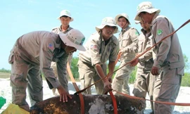 Phát hiện quả bom nặng 340 kg bị tháo gỡ để lấy thuốc nổ