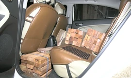 Gỗ quý giấu đầy cốp xe du lịch và xe bán tải