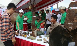 800.000 tấn bom đạn 'ẩn mình' trong lòng đất