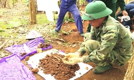 Phát hiện nhiều hài cốt liệt sĩ trong vườn cà phê ở vùng biên