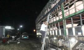 Chốt kiểm dịch động vật tạm thời trên QL1 phía Bắc tỉnh Quảng Trị, giáp giới với tỉnh Quảng Bình. Ảnh: TN