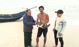 Ngư dân Nguyễn Văn Bình (giữa) tặng lại rùa biển quý cho cơ quan chức năng để trả về lại môi trường tự nhiên.