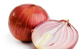 Ảnh minh họa. (Nguồn: Internet)