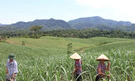 Làng mới Sông Chàng ở non cao