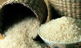 Hà Nội không có gạo giả