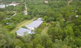 Vi phạm đất rừng Sóc Sơn: Nhiều cán bộ đã phải đi tù