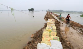 Cận cảnh mức chênh nước đê tả Bùi đe dọa nghìn hộ dân ở Hà Nội