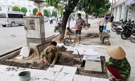 Hà Nội sẽ lát đá vỉa hè hơn trăm tuyến phố