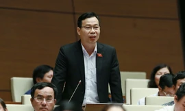 ĐBQH Đỗ Đức Hồng Hà. Ảnh: Như Ý