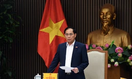 Phó Thủ tướng: Đề cao 'văn hoá thực thi' các cam kết, thoả thuận, dự án hợp tác quốc tế