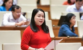 Đề xuất giải pháp ngăn 'công ty ma', giám đốc là xe ôm, người bán bún bò