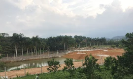 Một phần đất đai được cho là của ông Trần Quý Kiên. Ảnh: Trường Phong