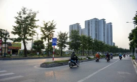 Hà Nội chính thức có phố Trịnh Văn Bô dài 900 mét