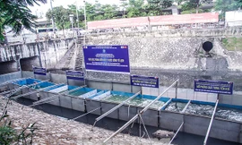 Hà Nội cho biết, chưa rõ kết quả và giá thành xử lý sông Tô Lịch của phía Cty JVE. Ảnh: Duy Phạm