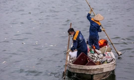 Hà Nội sẽ đánh bắt, giảm mật độ cá trong hồ Tây