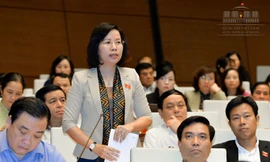 ĐBQH Bùi Huyền Mai