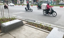 Hà Nội bố trí hàng ghế đá dưới cây hoa sữa cổ thụ