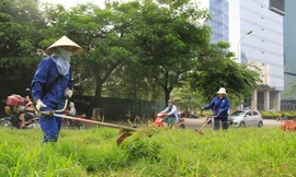 Hà Nội cắt cỏ trở lại: Chết máy vì cỏ quá rậm