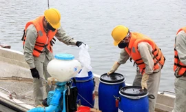 Nhiều hồ ở Hà Nội được xử lý ô nhiễm bằng chế phẩm RedOxy-3C