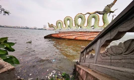 Cá chết trôi dạt ven bờ Hồ Tây sáng 8/4. Ảnh: Zing