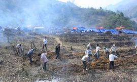 Người trẻ khai phá "cánh đồng ma"