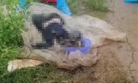 Phát hiện thi thể người đàn ông phân hủy nặng trong rừng phòng hộ