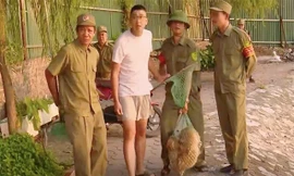 Bắt giữ chó thả rông tại phường Khương Đình (Thanh Xuân). Ảnh: Dân trí