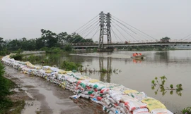 Đê tả Bùi đã qua giai đoạn nguy hiểm. Ảnh: Trường Phong